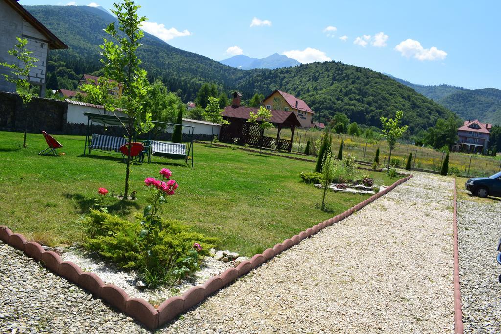 Pensiunea Mountain King Sîmbăta de Sus Buitenkant foto