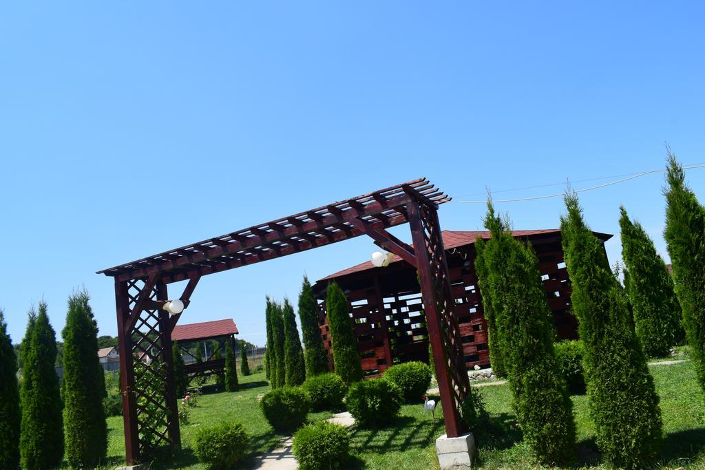 Pensiunea Mountain King Sîmbăta de Sus Buitenkant foto