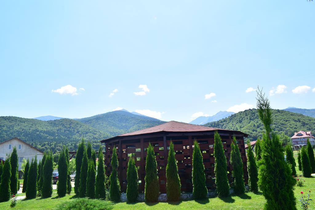 Pensiunea Mountain King Sîmbăta de Sus Buitenkant foto