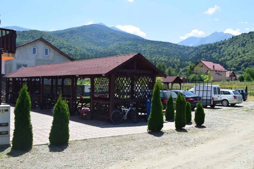Pensiunea Mountain King Sîmbăta de Sus Buitenkant foto