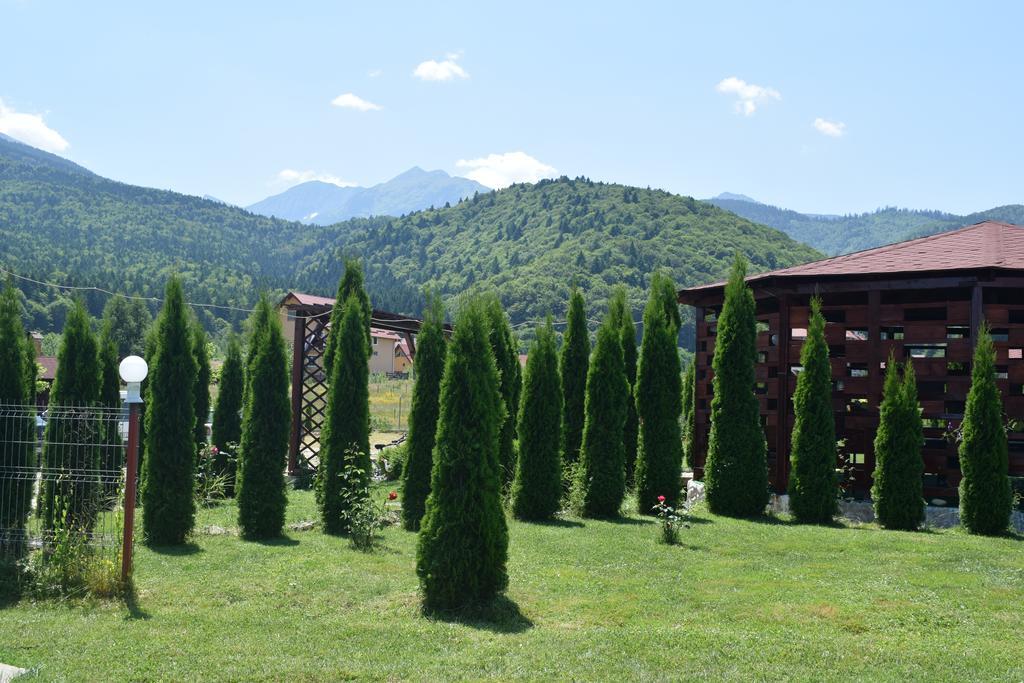 Pensiunea Mountain King Sîmbăta de Sus Buitenkant foto