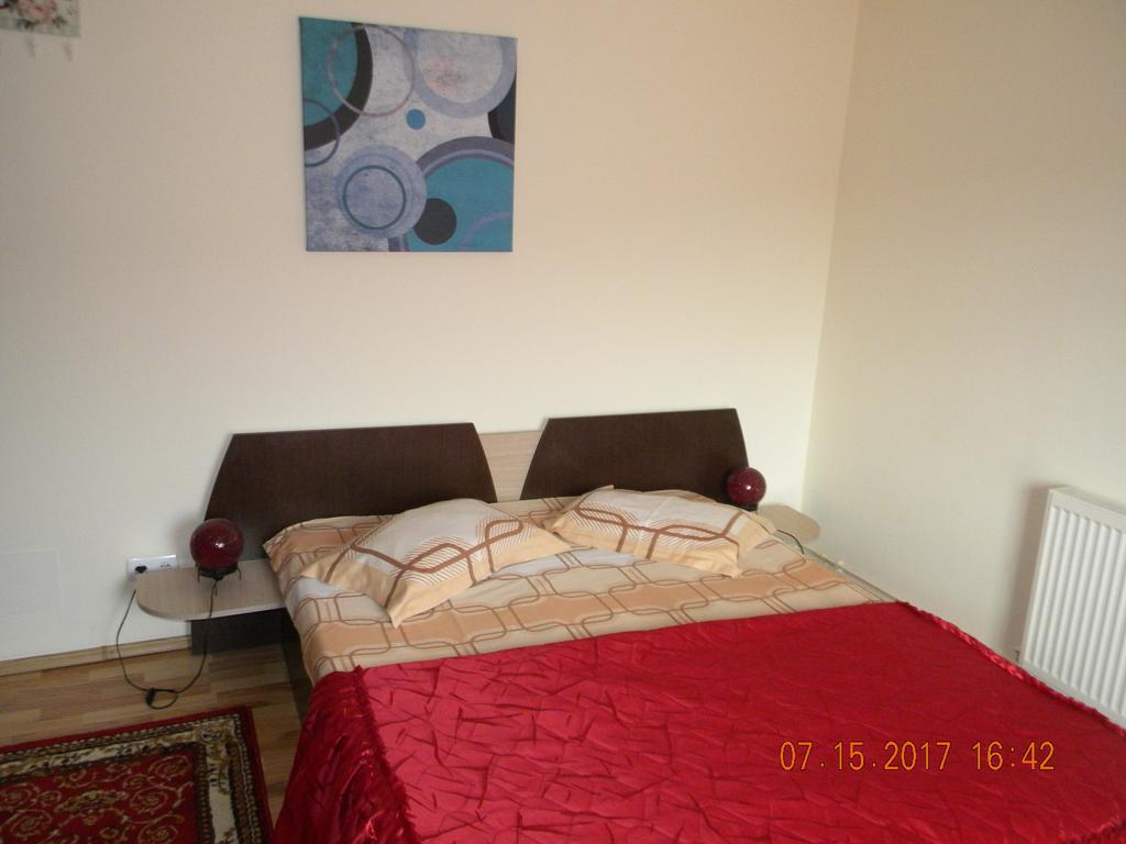 Pensiunea Mountain King Sîmbăta de Sus Buitenkant foto