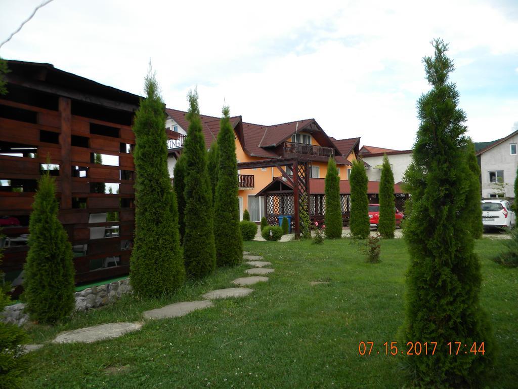Pensiunea Mountain King Sîmbăta de Sus Buitenkant foto