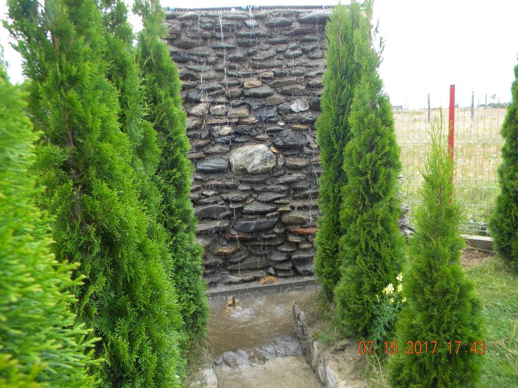 Pensiunea Mountain King Sîmbăta de Sus Buitenkant foto