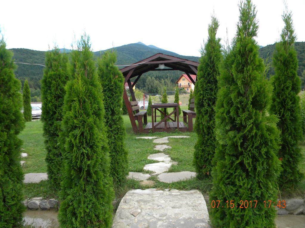 Pensiunea Mountain King Sîmbăta de Sus Buitenkant foto