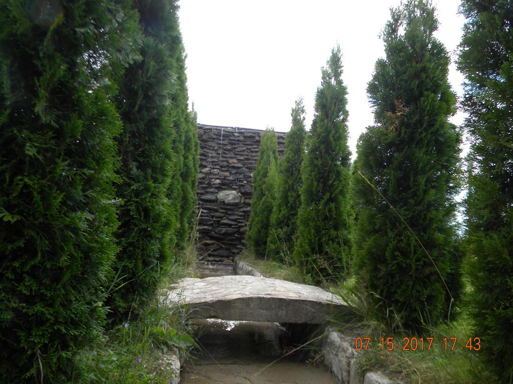 Pensiunea Mountain King Sîmbăta de Sus Buitenkant foto