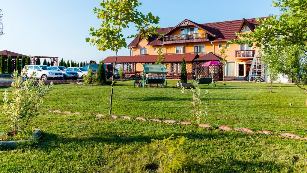 Pensiunea Mountain King Sîmbăta de Sus Buitenkant foto