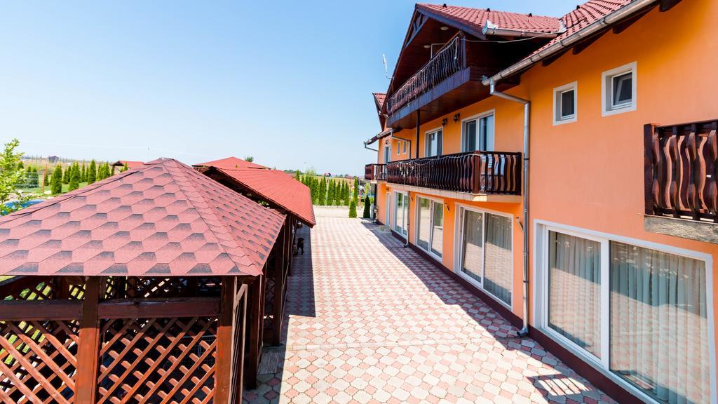 Pensiunea Mountain King Sîmbăta de Sus Buitenkant foto